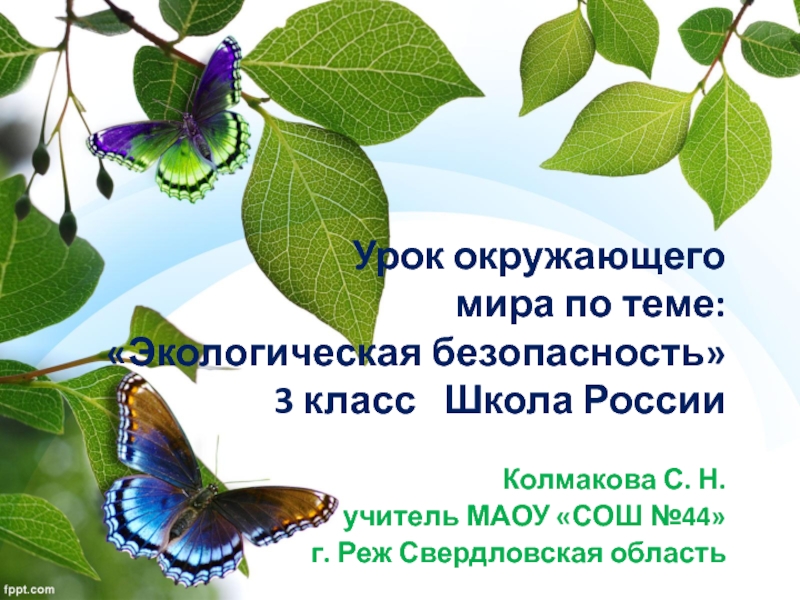 Презентация Презентация к уроку окружающего мира по теме; Экологическая безопасность (3 класс Школа России)