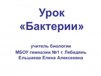 Презентация по биологии на тему Бактерии
