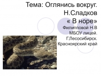 Презентация по литературному чтению Тема  Оглянись вокруг  в произведении Н. Сладкова  В норе 4 класс