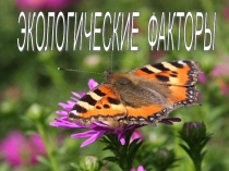 Презентация по биологии на тему Экологические факторы (11 класс)