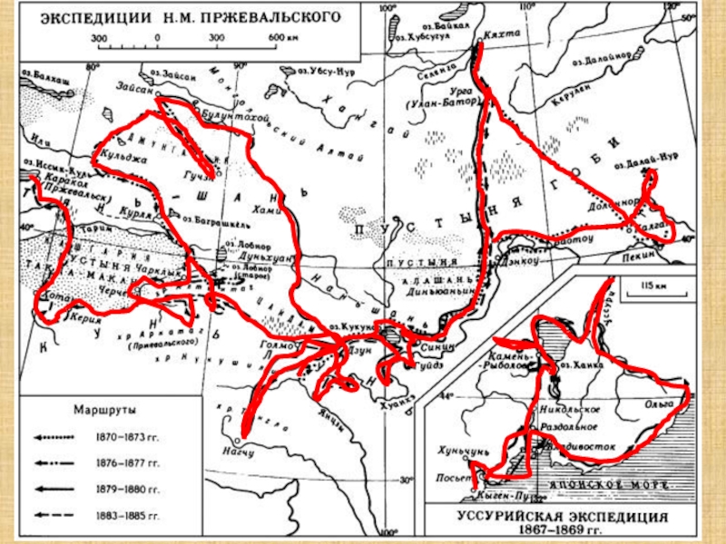 Третья карта семенов