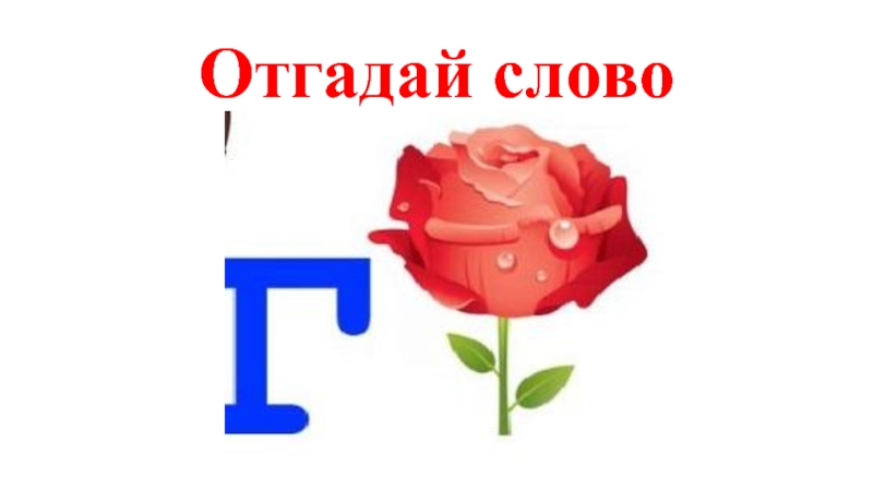 Слова со словом день. Ребусы с буквой г. Отгадай слово. Ребусы о лете. Слово роза.