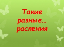 Презентация по биологии 6 класс