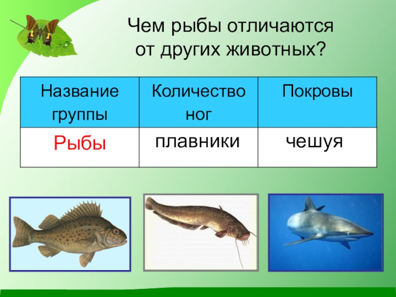 Окружающий мир какие бывают животные 2 класс презентация