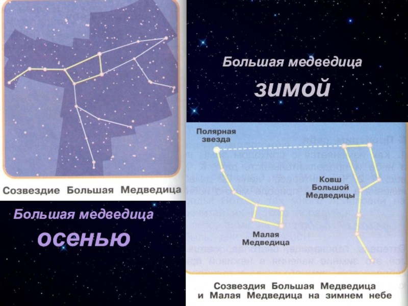 Звездное небо зимой 2 класс перспектива презентация