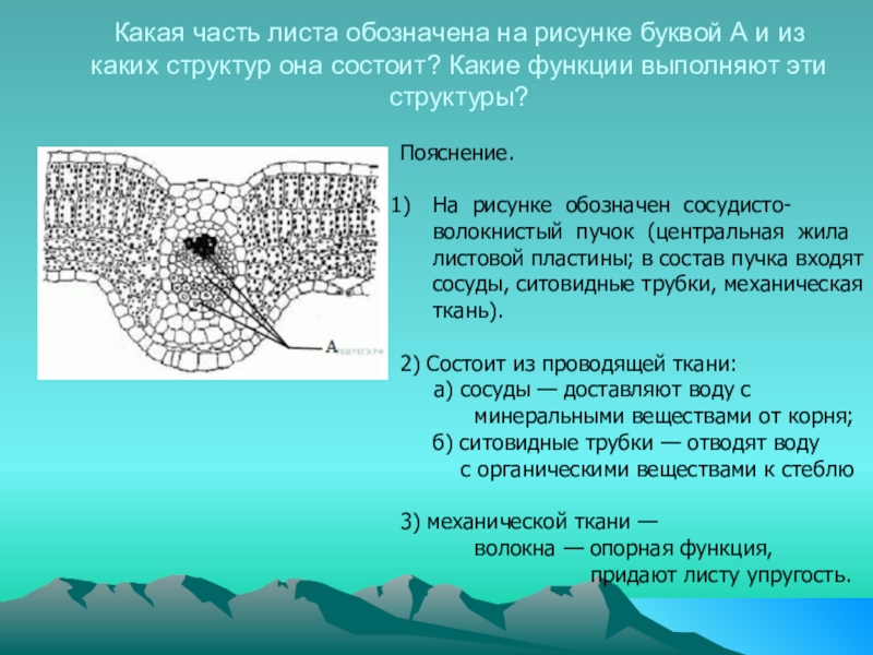 Укажите при помощи каких структур