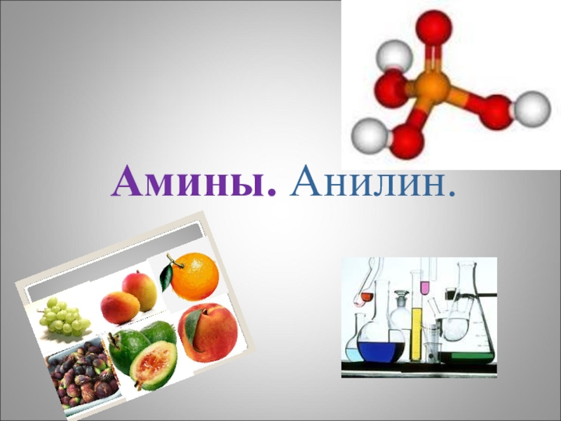 Презентация на тему амины 10 класс химия