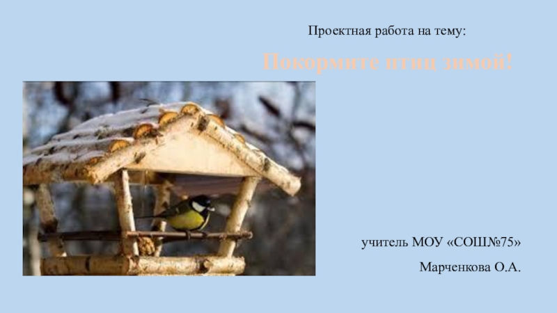 Презентация по окружающему миру Покормите птиц зимой! ( 2 класс )