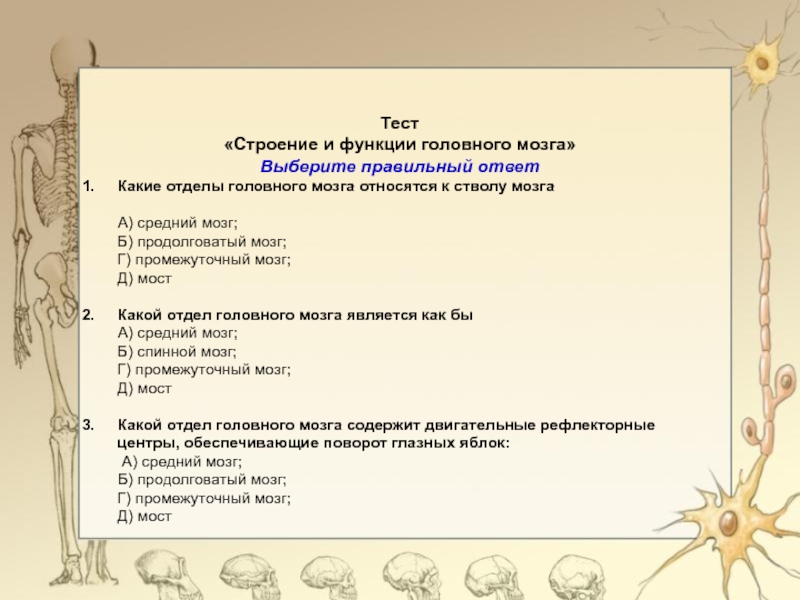 Вопросы по анатомии с ответами. Тест по анатомии. Вопросы по анатомии человека с ответами. Тест по биологии головной мозг. Анатомия человека тест.