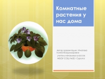 Презентация по окружающему миру на тему Комнатные растения