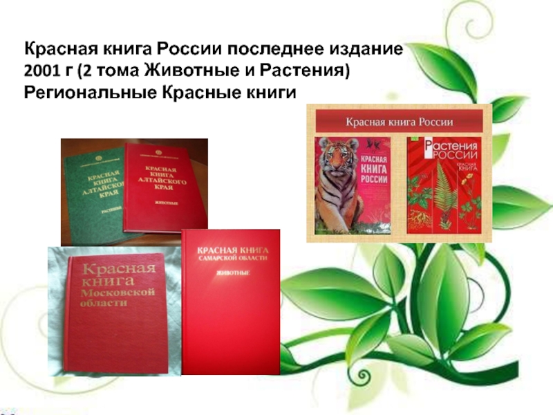 Проблема исследования в проекте красная книга