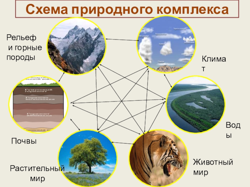 Схема природного комплекса география 6 класс