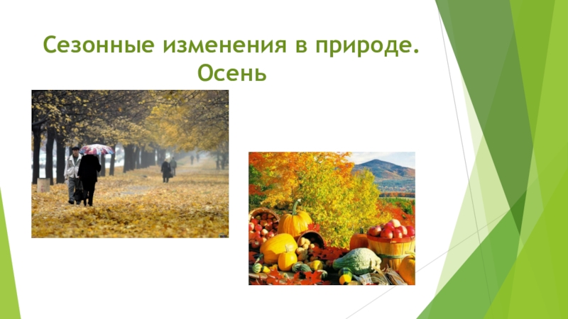 Сезонные изменения видео. Сезонные изменения в природе. Осень сезонные изменения. Сезонные изменения в природе осенью. Сезонные изменения в жизни растений осенью.