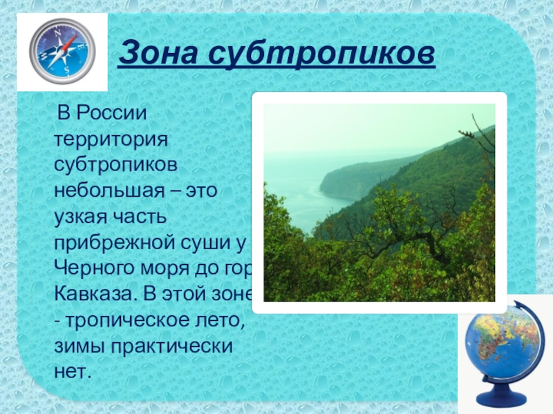 Зона субтропиков В России территория субтропиков небольшая – это узкая часть прибрежной суши у Черного