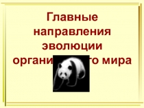 Презентация по биологии на тему Главные направления эволюции органического мира (9, 11 классы).