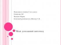 Презентация по русскому языку 2 класс сочинение Мой любимый питомец