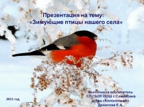 Презентация для детей дошкольного возраста по ознакомлению с окружающим на тему Зимующие птицы