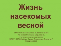 Презентация по окружающему миру Жизнь насекомых весной