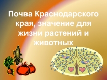 Презентация по кубановедению Почвы Кубани