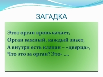 Презентация по биологии на тему Сердце (8 класс)