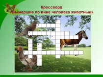 Кроссворд - презентация на тему Вымершие по вине человека животные для учащихся начальных классов