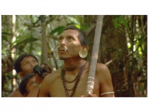 Типы социальной динамики (профиль)