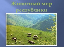 :Животный мир республики Дагестан