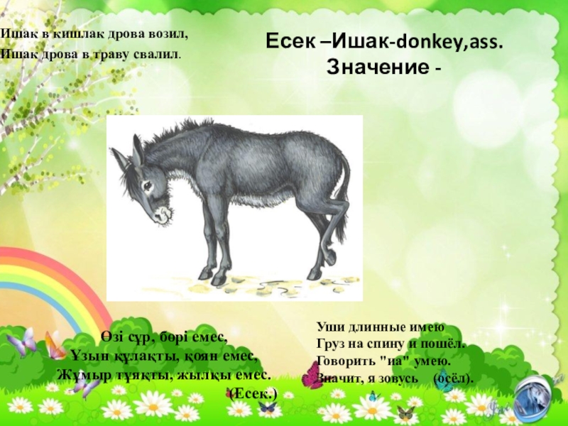 Есек –Ишак-donkey,ass. Значение -  Ишак в кишлак дрова возил,Ишак дрова в траву свалил.Уши длинные имею Груз