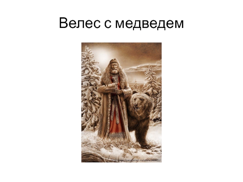 Велес медведь