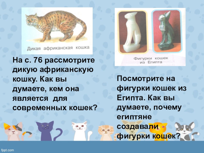 Породы кошек презентация 1 класс