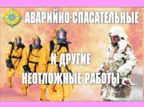 Презентация урока по ОБЖ на тему: Организация проведения аварийно-спасательных и других неотложных работ в зоне чрезвычайных ситуаций (10 класс)
