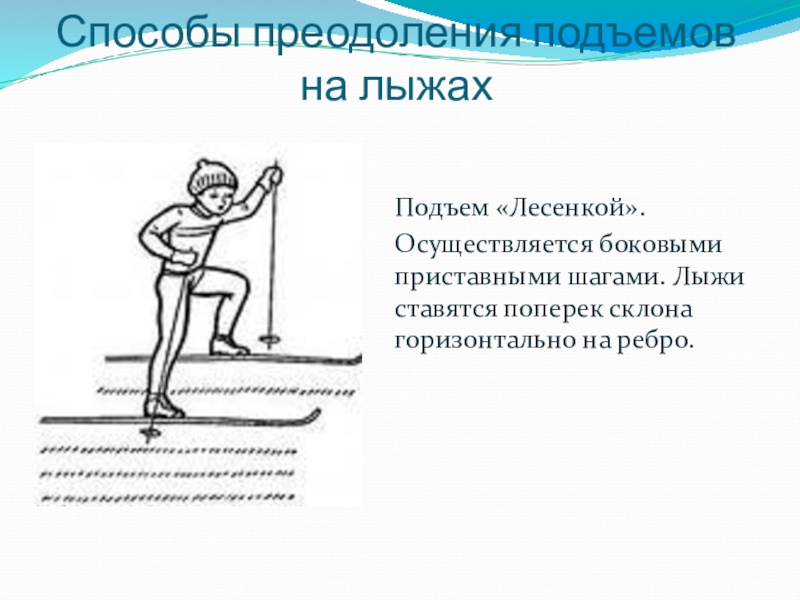 Способы подъема. Способы преодоления подъемов на лыжах лесенкой. Техника выполнения подъема лесенкой. Техника преодоления подъемов на лыжах лесенкой. Как осуществляется подъем лесенкой на лыжах.