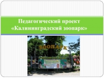 Презентация к проекту Калининградский зоопарк