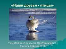 Презентация к уроку ИЗО во 2 классе Наши друзья птицы.