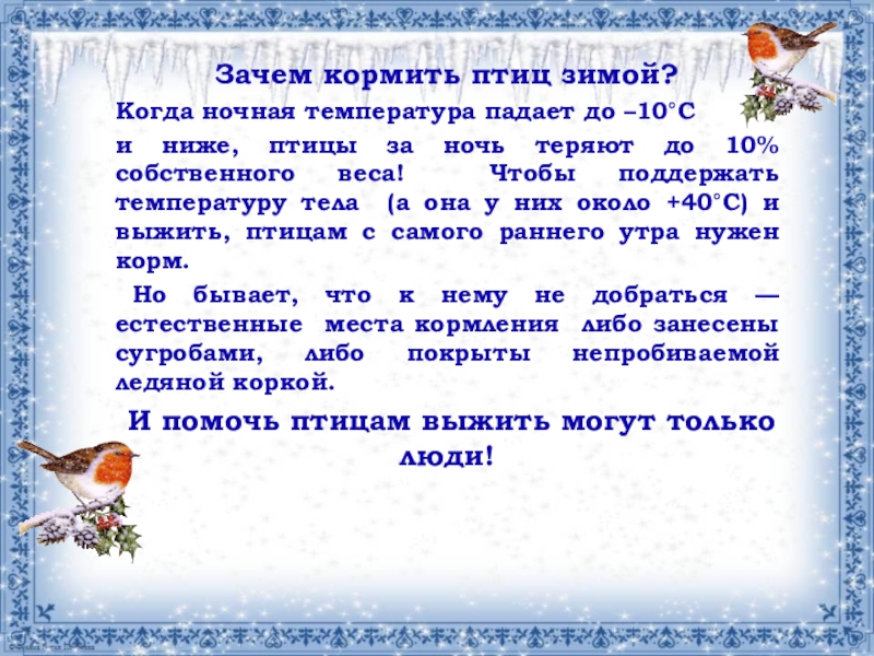 Зачем зимнее время. Когда кормить птиц зимой. Почему нужно подкармливать птиц. Почему надо подкармливать птиц зимой. Зачем нужно кормить птиц.