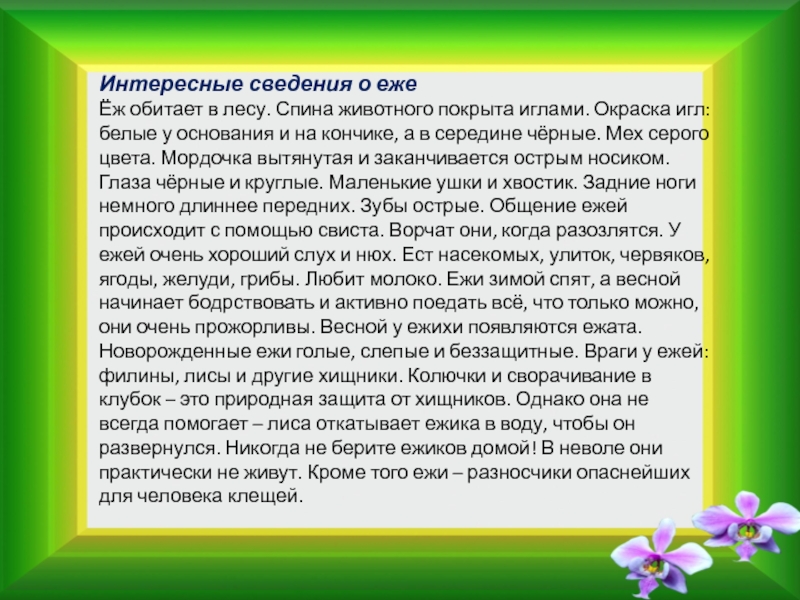 Интересные сведения о ежеЁж обитает в лесу. Спина животного покрыта иглами. Окраска игл: белые у основания и