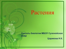 Презентация по биологии Растения (5 класс)