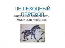 Презентация к проекту по внеурочной деятельности Зебра. Пешеходный переход