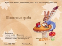 Презентация по биологии на тему Шляпочные грибы (6 класс)