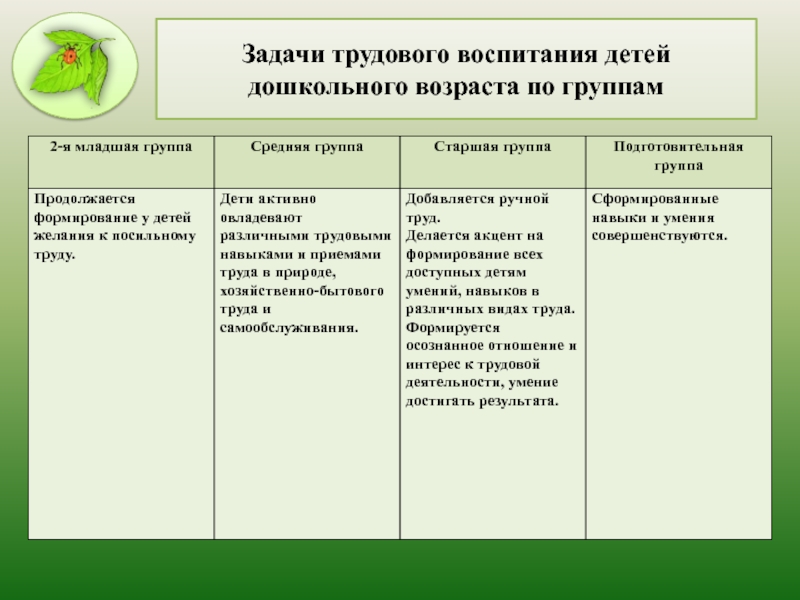 Задачи трудовое воспитания детей