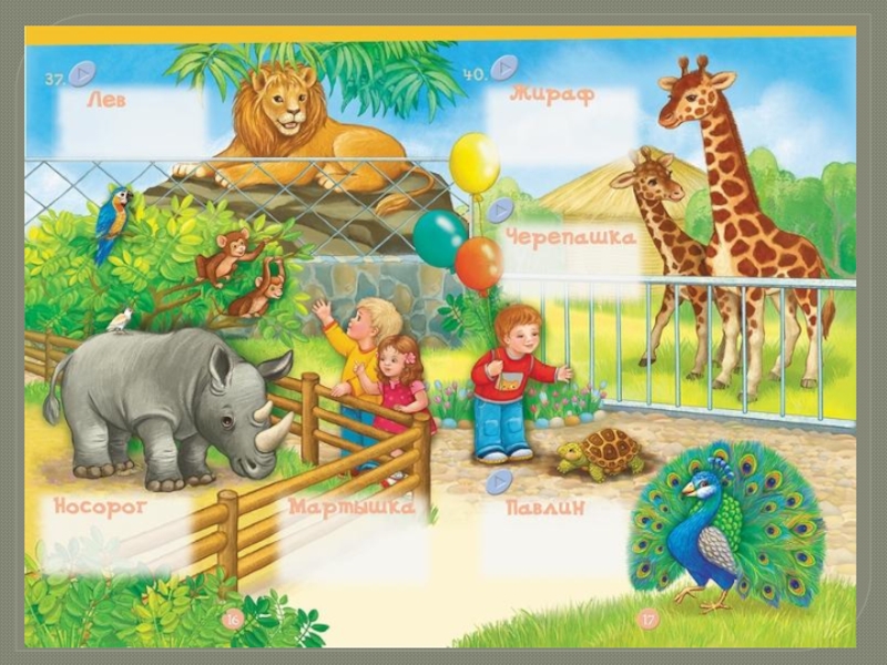 Посещение зоопарка средняя группа. Дети в зоопарке. Зоопарк иллюстрация. Рисунок на тему зоопарк. Экскурсия в зоопарк для дошкольников.