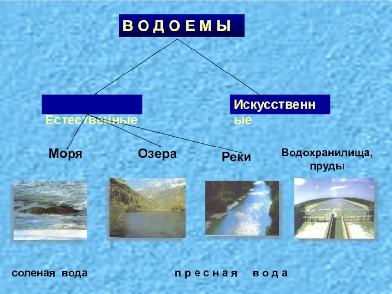 Презентация 2 класс водоемы окружающий мир 2