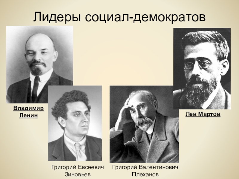 Организация российское демократическое общество