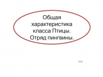 Презентация по биологии на тему Общая характеристика класса Птицы. Отряд Пингвины (7 класс)