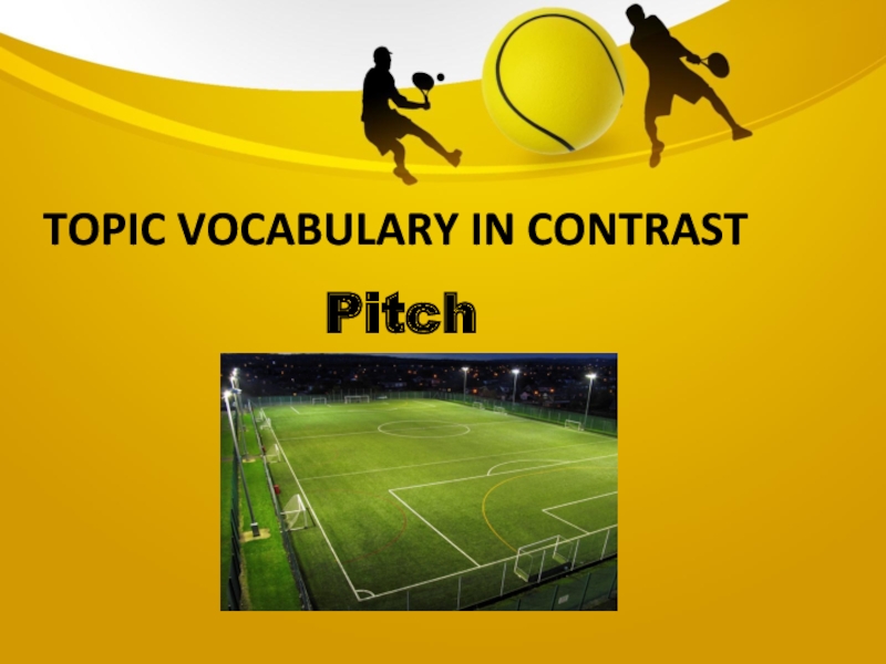 Topic vocabulary in contrastPitch