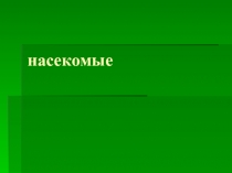 Насекомые презентация для детей коррекционной группы