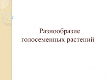 Презентация по биологии на тему Разнообразие голосеменных растений