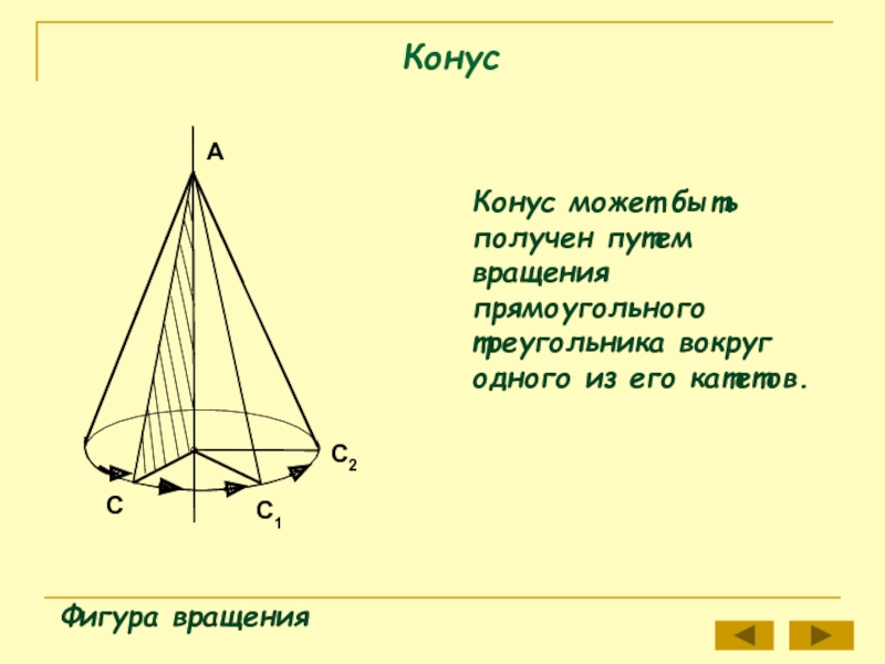 КонусФигура вращенияКонус может быть получен путем вращения прямоугольного треугольника вокруг одного из его катетов.ВСС1АС2