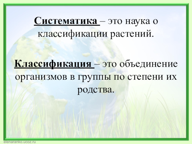 Систематика растений презентация 6 класс