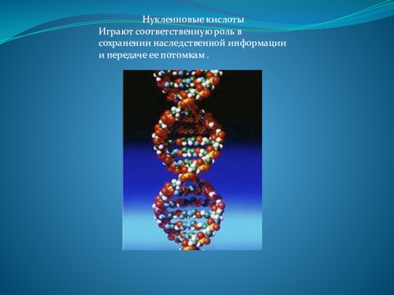 Генетическая информация презентация 10 класс углубленный уровень